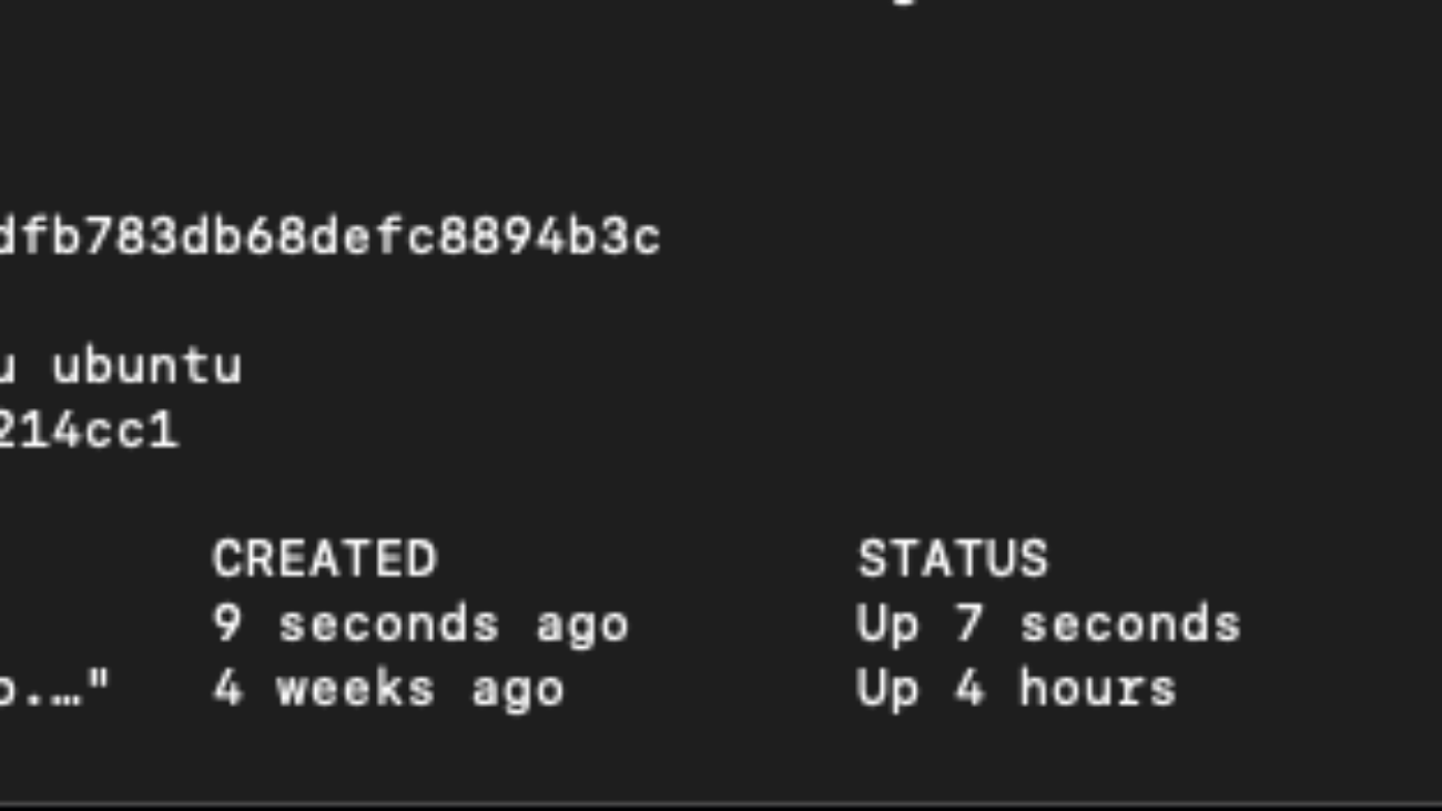 Kiểm tra bằng lệnh docker ps -a sẽ thấy container ubuntu đang trong status Exited