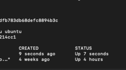 Kiểm tra bằng lệnh docker ps -a sẽ thấy container ubuntu đang trong status Exited