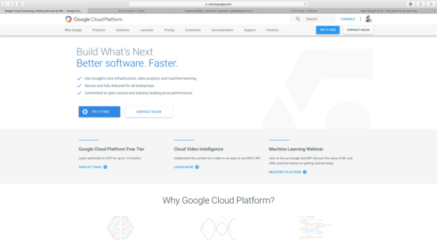 Websit1_1